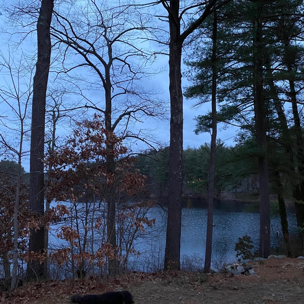 Meet your Posher, Terri